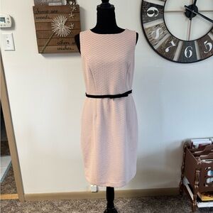 Size 8, the limited mauve and lace belted pencil dress new with tags pretty